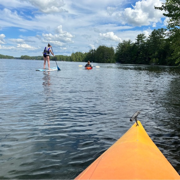 Meet your Posher, Lisa - Picture 11 of 16